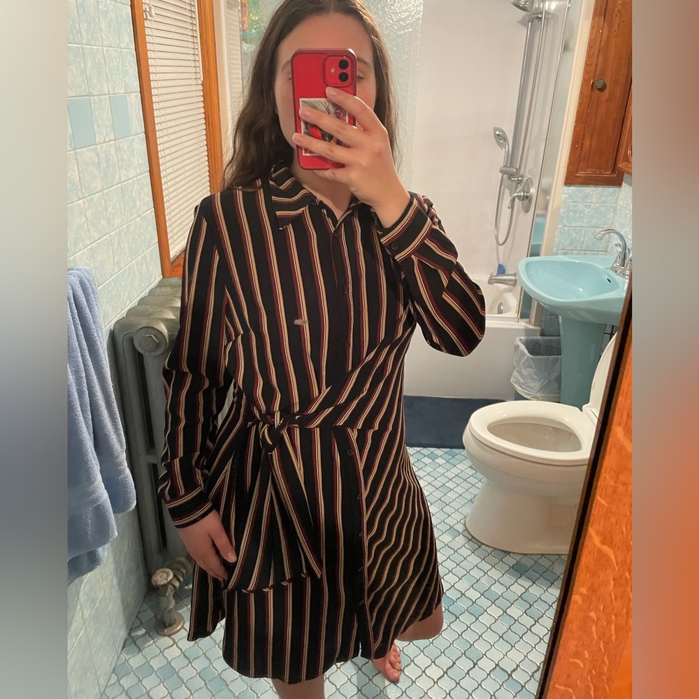 Striped Button Down Collared Dress